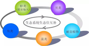 浙江省海洋水產(chǎn)研究所多生態(tài)位設(shè)施化耦合養(yǎng)殖技術(shù)開發(fā)及應(yīng)用榮獲省科技進(jìn)步三等獎(jiǎng)